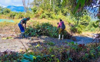 PUNO: POBLACION REALIZÓ FAENAS COMUNALES A FIN DE MEJORAR SUS CACERIOS EN PUNO Y MADRE DE DIOS