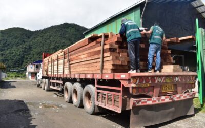 CARABAYA| DECOMISAN TABLARES DE MADERA ILEGALES EN EL PUESTO DE CONTROL SAN GABÁN EN PUNO. TRANSPORTADORES TAMBIEN FUERON SANCIONADOS