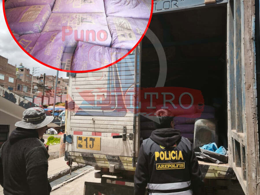 Policía incautó mercadería y vehículo de contrabando en Puno