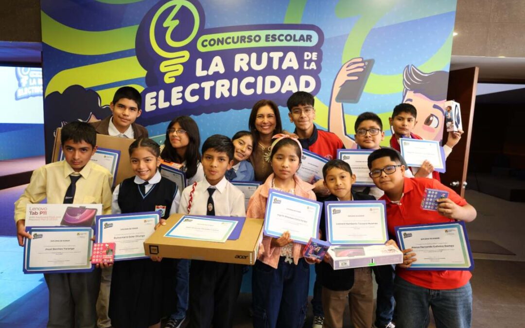 Estudiante puneña gana concurso escolar promovido por la SNMPE «La Ruta de la Electricidad»