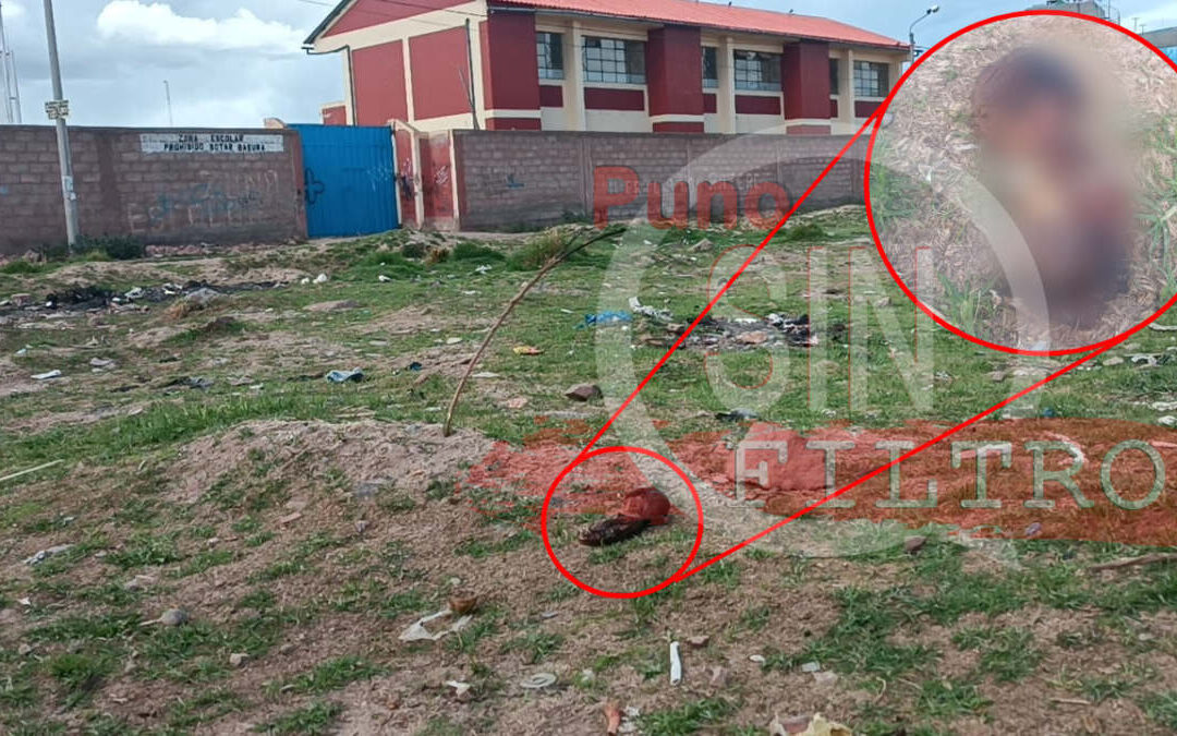 Hallan feto detrás del Colegio San Martín en Juliaca