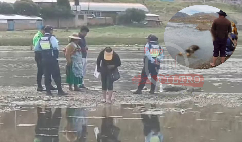 HALLAN SIN VIDA A ADOLESCENTE QUE CAYÓ AL RIO AYAVIRI