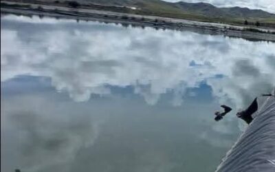 HALLAN UN CUERPO SIN VIDA EN LA LAGUNA DE OXIDACIÓN EN AYAVIRI