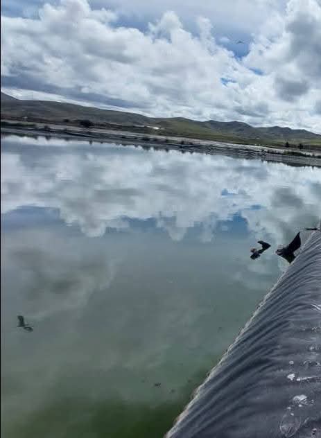 HALLAN UN CUERPO SIN VIDA EN LA LAGUNA DE OXIDACIÓN EN AYAVIRI