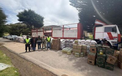 INCAUTAN MERCADERÍA DE CONTRABANDO EN POMATA, VALORIZADA EN CASI 1 MILLÓN DE SOLES