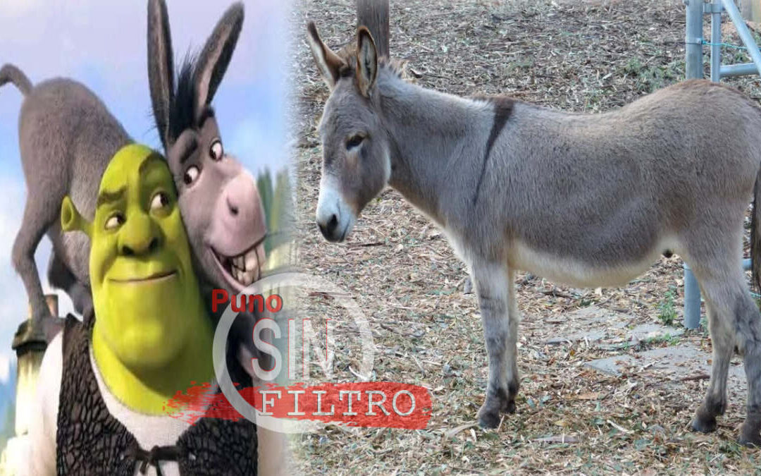 MURIO «PERRY» QUE INSPIRÓ AL «NOBLE CORSEL»