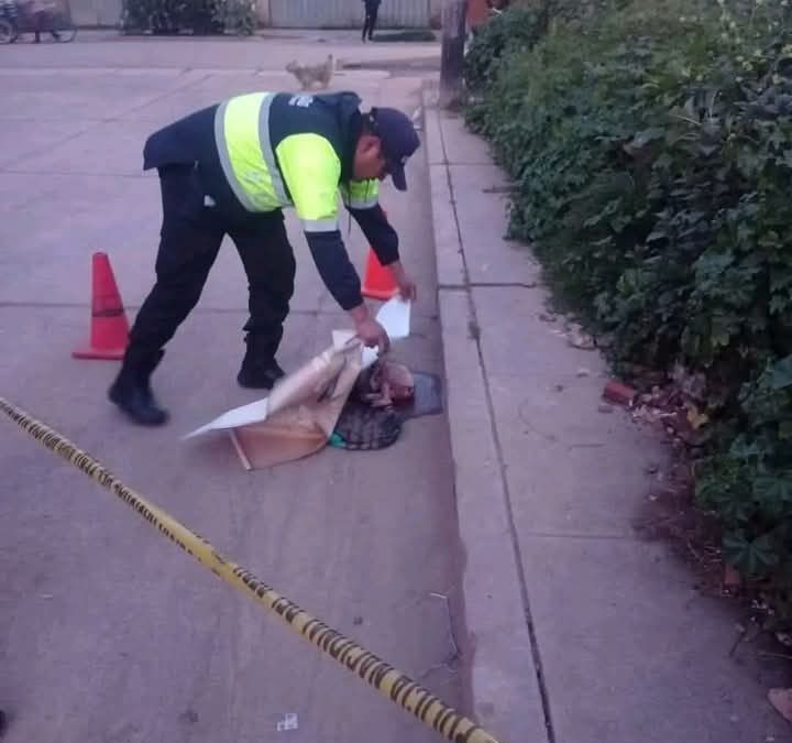 ABANDONAN FETO EN LA VÍA PÚBLICA EN CANCHIS. AUTORIDADES BUSCAN IMAGENES DE CAMARAS DE SEGURIDAD EN LA ZONA