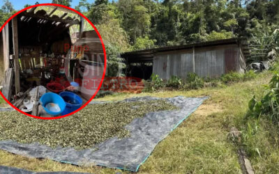 DESMANTELAN LABORATORIO DE COCAÍNA EN PUTINA PUNCO