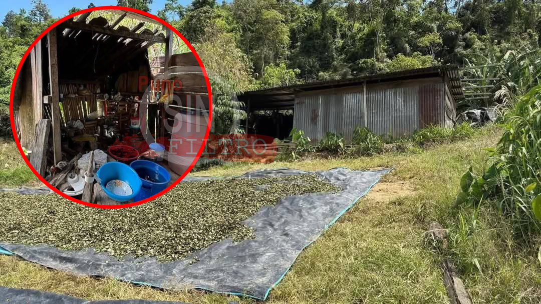 DESMANTELAN LABORATORIO DE COCAÍNA EN PUTINA PUNCO