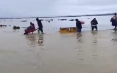 INCREMENTO Y DESBORDE DEL RIO SUCHES AFECTÓ PASTIZALES, VICIENDAS Y EL INTERCAMBIO COMERCIAL CON BOLIVIA