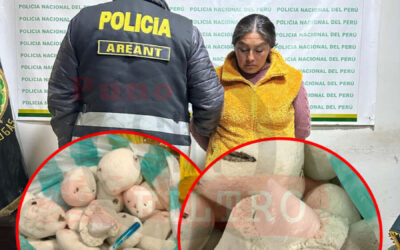 MUJER PRETENDÍA INGRESAR AL PENAL DE PUNO COCAÍNA Y MARIHUANA CAMUFLADAS EN TUNTA
