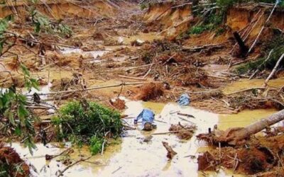 ORGANISMOS INTERNACIONALES ADVIERTEN EFECTOS DEVASTADORES DE MINERÍA ILEGAL. EXTRACCIÓN DE ORO, OCASIONA DAÑOS IRREVERSIBLES EN LA AMAZONÍA