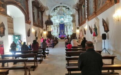 PÁRROCO DE LAMPA MOSTRÓ PREOCUPACIÓN POR POCA PARTICIPACIÓN DE FELIGRESES EN «DOMINGO DE RAMOS»