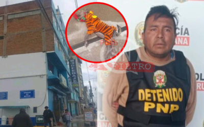 SENTENCIAN A 3 AÑOS DE PRIAIÓN SUSPENDIDA A SUJETO QUE ARROJÓ A UN PERRO DESDE EL 5TO PISO DE UNA VIVIENDA EN JULIACA
