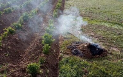 NUESTROS ANTEPASADOS ANTE LA PRESENCIA DE HELADAS SOLÍAN QUEMAR Y GENERAR HUMO ALREDEDOR DE  SUS CHACRAS