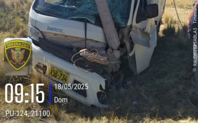 FURGÓN DISTRIBUIDOR DE POLLOS SE DESPISTÓ POR EL PÉSIMO ESTADO DE LA CARRETERA JULIACA – LAMPA
