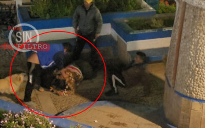 Video| SUJETO AGREDIÓ BRUTALMENTE A MUJER, TRAS DISCUSIÓN EN INMEDIACIONES DEL MERCADO LAYKAKOTA