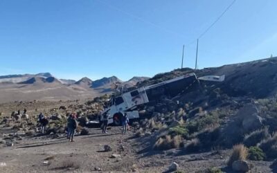 CISTERNA BOLIVIANA CARGADA CON ACEITE DE SOYA SE DESPISTÓ EN LA CARRETERA BINACIONAL