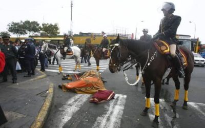 PODER JUDICIAL PROHÍBE USO DE CABALLOS EN PROTESTAS Y DESALOJOS POR PROTECCIÓN A LOS ANIMALES
