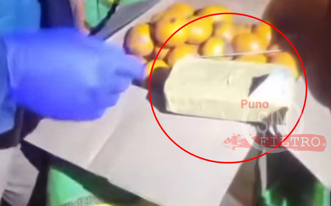 POLICÍA INCAUTA MÁS DE 36 KILOS DE COCAÍNA CAMUFLADA ENTRE MANDARINAS EN TRANSPORTE PÚBLICO