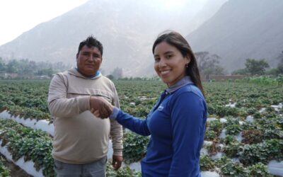 FINANCIERA CONFIANZA IMPULSA CRÉDITOS PARA ACTIVIDADES ECONÓMICAS VERDES EN EL PERÚ. Entidad anuncia una alternativa de financiamiento responsable que fomenta la productividad y la sostenibilidad en todo el país.