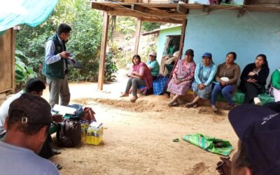 AVANZA LA FORMALIZACIÓN DE ORGANIZACIONES FRUTÍCOLAS EN LA SELVA PUNEÑA