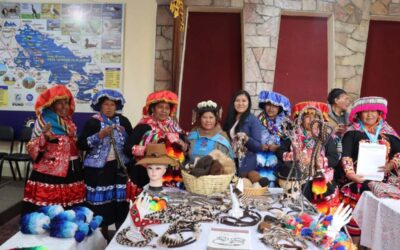 ORGULLO LAMPEÑO: PROYECTOS DE ARTE TRADICIONAL DE NIVIA CUTIPA Y SILVIA CONDORI RECIBEN RECONOCIMIENTO NACIONAL