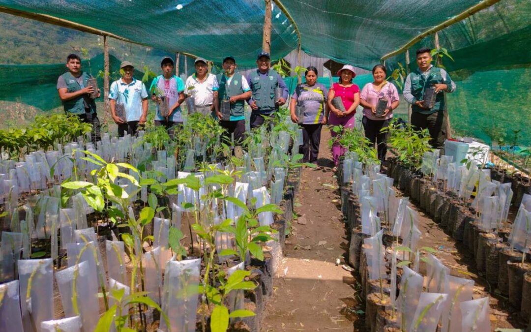 CAPACITAN A AGRICULTORES DE LA SELVA PUNEÑA PARA FRENAR LA MOSCA DE LA FRUTA