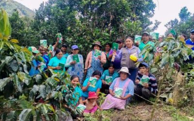 FORTALECEN CAPACIDADES EN MANEJO AGRONÓMICO DEL CULTIVO DE PLÁTANO EN PUTINA PUNCO