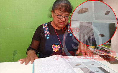 HALLAN CUCARACHA EN CONSERVA DE WASI MIKUNA (EX QALIWARNA). TRAS LA DENUNCIA, LA MUESTRA DESAPARECIÓ DE LA DIRECCIÓN DEL PLANTEL