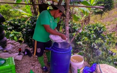PROYECTO FRUTALES PROMUEVE EL USO DE ABONOS ORGÁNICOS EN SAN JUAN DEL ORO