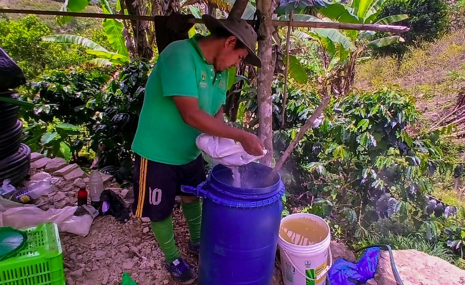 PROYECTO FRUTALES PROMUEVE EL USO DE ABONOS ORGÁNICOS EN SAN JUAN DEL ORO