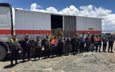 DESARTICULAN BANDA “LOS RUTEROS DEL RELAVE” DEDICADA AL TRÁFICO ILEGAL DE RESIDUOS MINEROS EN PUNO