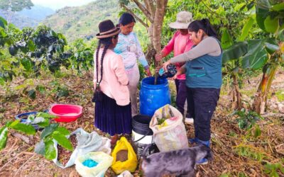 ELABORAN ABONO ORGÁNICO PARA IMPULSAR CULTIVOS FRUTÍCOLAS EN ALTO INAMBARI