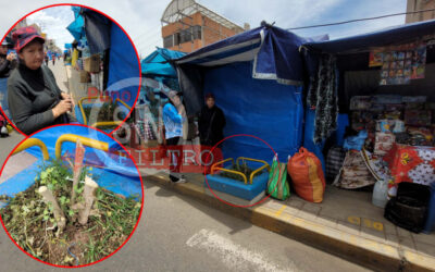 MUNICIPALIDAD RETIRÓ DE LA FERIA DEL WAWA QATU A COMERCIANTE POR CORTAR ARBUSTO QUE AFECTABA SU VISIBILIDAD
