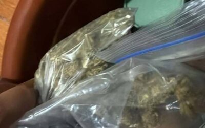 JULIACA: INTERVIENEN A PRESUNTOS INTEGRANTES DE “LOS TERRIBLES DE LA MADRIGUERA” CON MARIHUANA