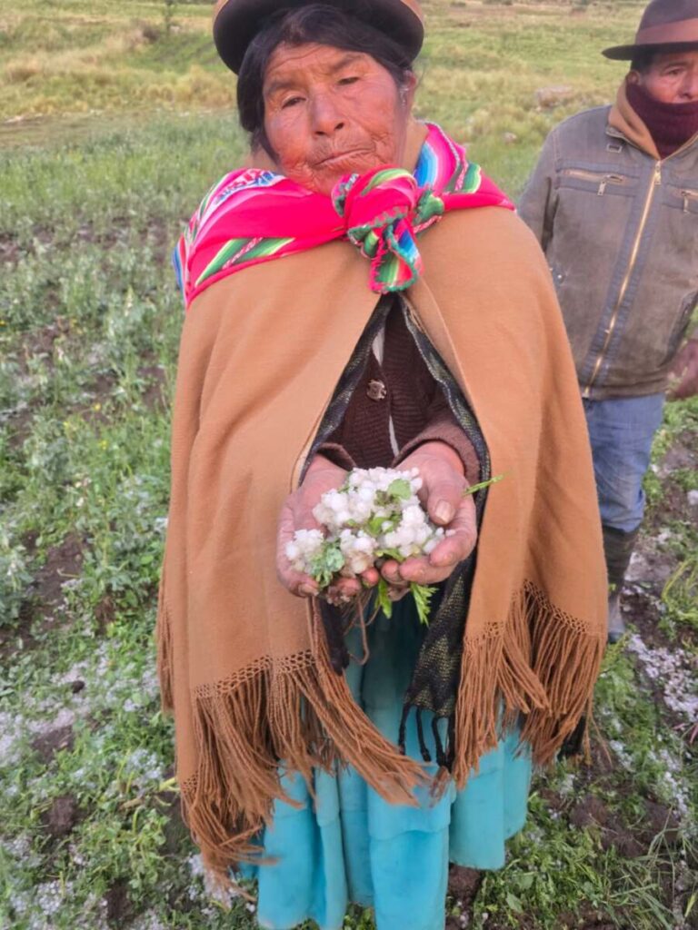 FUERTES GRANIZADAS PROVOCAN PÉRDIDAS AGRÍCOLAS EN ZEPITA Y SECTORES CERCANOS