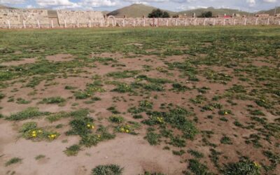 ESTADIO «FERNANDO ROMERO CARREÓN» DE LAMPA ENTRE EL RENDERS Y UNA TRISTE REALIDAD. LAMPA YA NO CREE EN PROMESAS Y ANUNCIOS DEL GOBIERNO REGIONAL DE PUNO Y DEL CONSEJERO REGIONAL POR LAMPA