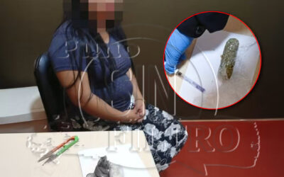 MUJER INTENTABA INGRESAR DROGA ESCONDIDAS EN SUS PARTES INTIMAS AL PENAL DE SAMEGUA